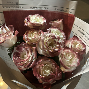 天天操天天操天天操
