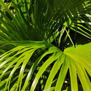 天天操天天操天天操
